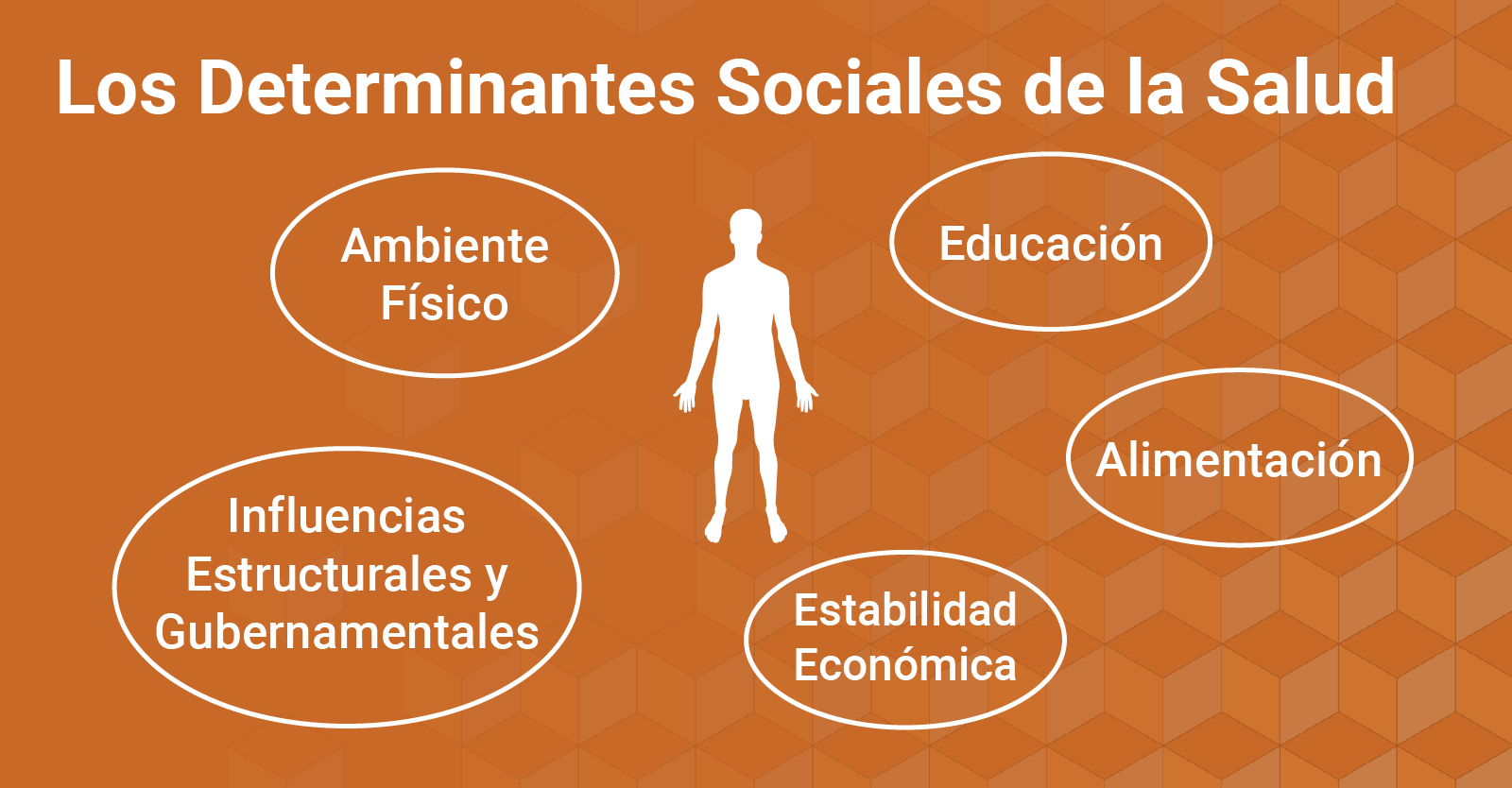 Cómo nuestros alrededores afectan nuestra salud oral: una introducción a los determinantes sociales de la salud