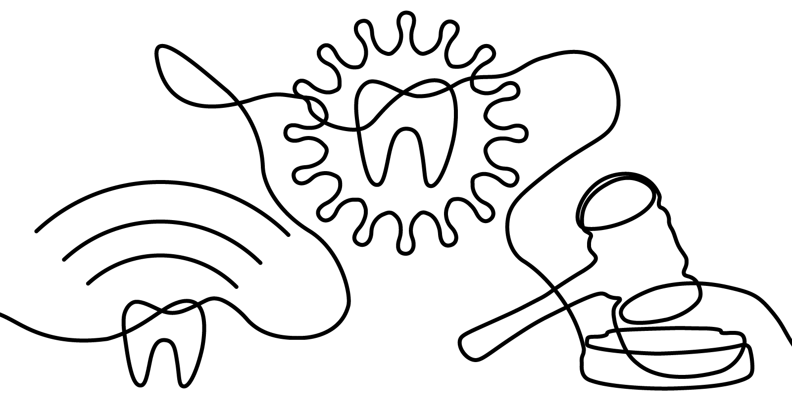 February 2021 Newsletter 01